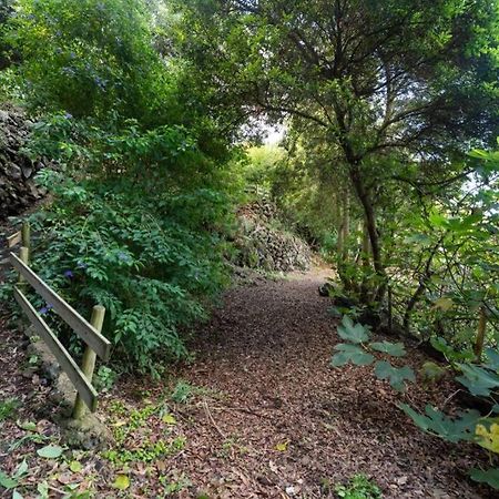 Apartmán Finca El Molledo El Patio Icod De Los Vinos Exteriér fotografie